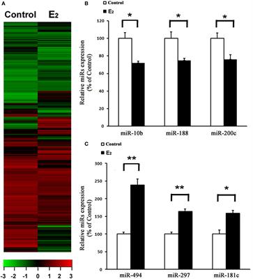 miR-494 Contributes to Estrogen Protection of Cardiomyocytes Against Oxidative Stress via Targeting (NF-κB) Repressing Factor